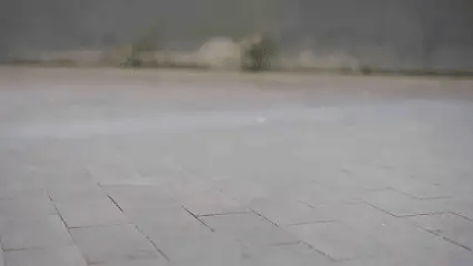 Sapatos de rede
